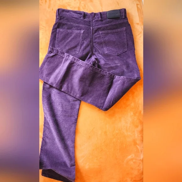 Ermenegildo Zegna men's deep purple curdoroy sz 34